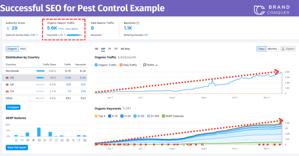 SEO for Pest control Examples